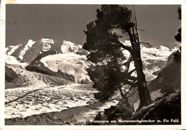 Wetterarve am Morteratschgletscher mit Piz Palü. 1946 Vorderseite