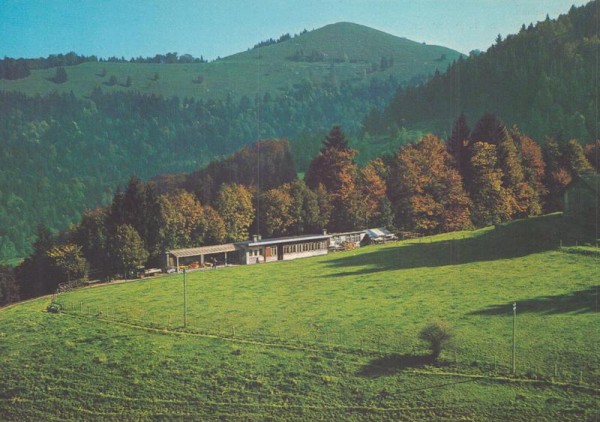 Ski- und Ferienhaus, Bergrestaurant, Fischenthal ZH - Flugaufnahmen Vorderseite