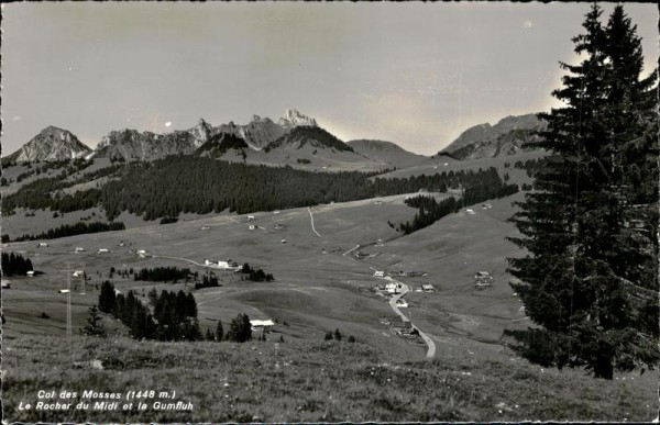 Col des Mosses Vorderseite