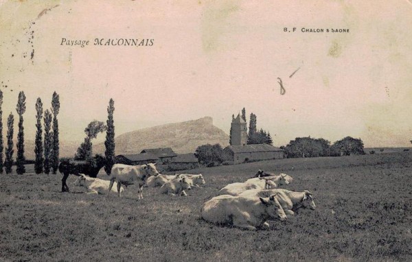 Paysage MACONNAIS Vorderseite