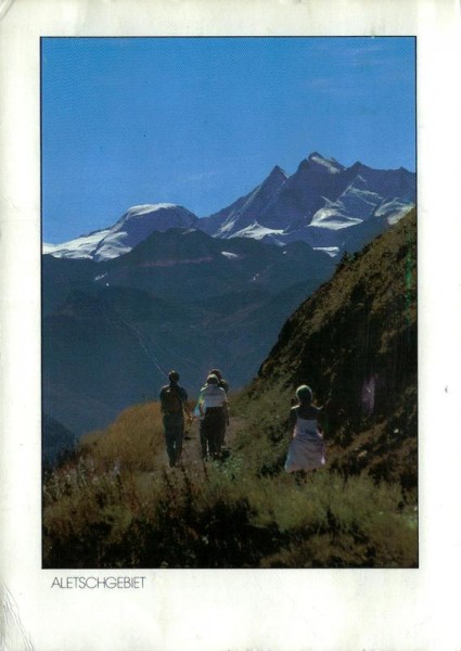 Aletschgebiet Vorderseite