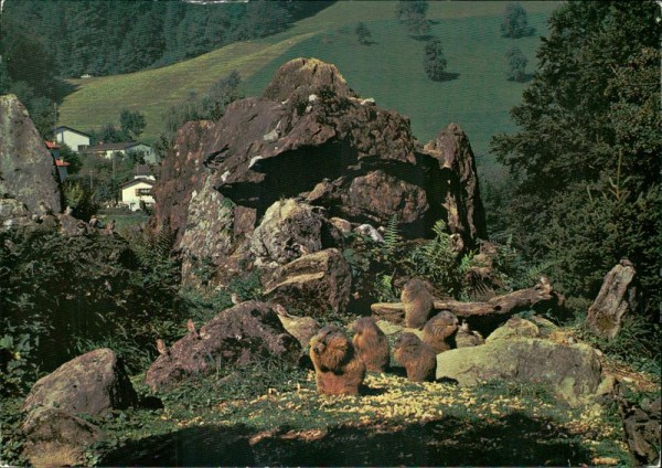 Langnau im Emmental Vorderseite
