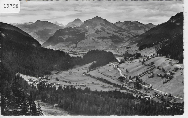 Grubenwald Zweisimmen - Panorama