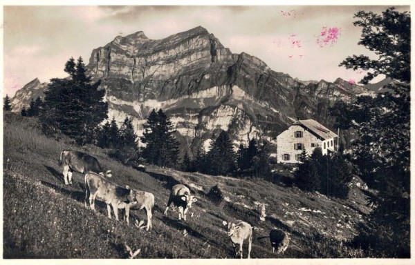 Zürcher Naturfreundehaus Fronalp mit Wiggis u. Rautispitz Vorderseite