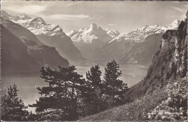 Vierwaldstättersee mit Bristenstock