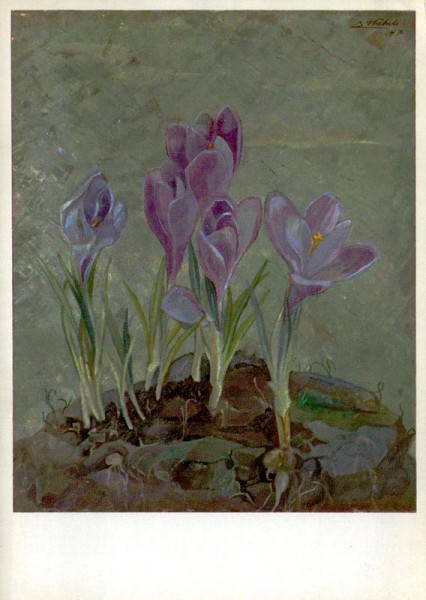 Ein Stücklein Erde Vorderseite