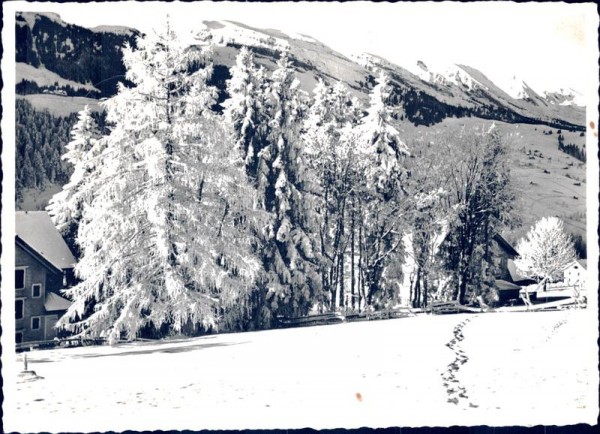 Skigebiet Obertoggenburg Vorderseite