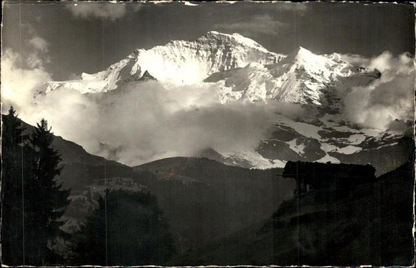 Die Jungfrau (4158 m) im Abendlicht. Vorderseite
