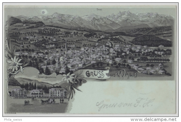 Wald, Gruss aus - Mondschein Litho - Total, Lungen-Sanatorium