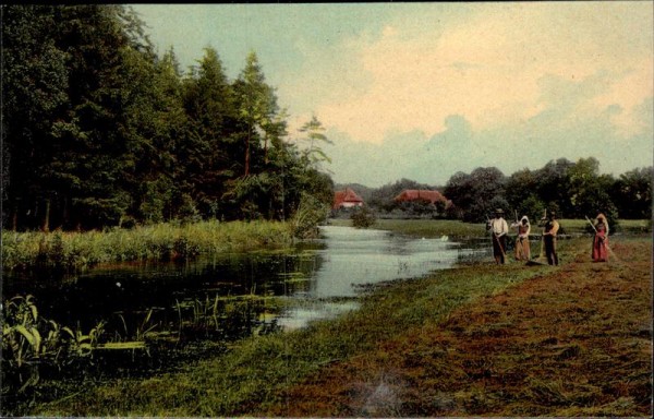 Lüneburger Heide Vorderseite