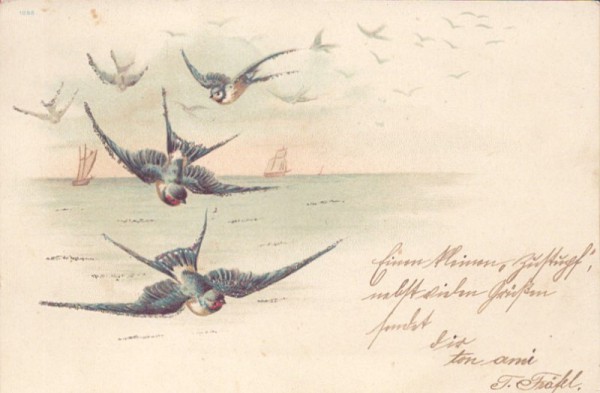 Fliegende Vögel über Wasser