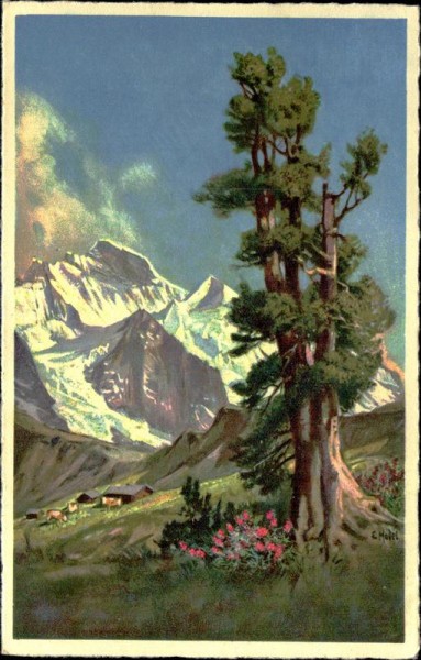 Kleine Scheidegg/Jungfrau (4158 m) Vorderseite