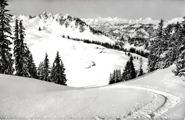 Hornberg mit Waadtländer-Alpen Vorderseite
