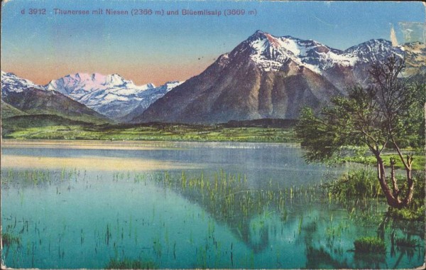 Thunersee mit Niesen und Blüemlisalp Vorderseite