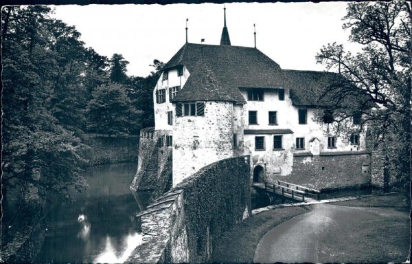 Schloss Hallwil Vorderseite