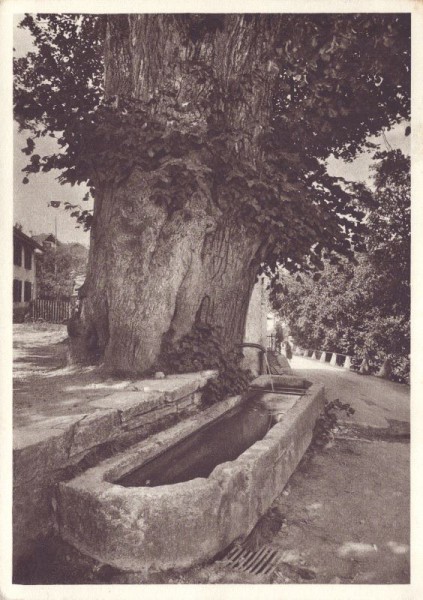 Am Brunnen vor dem Tore