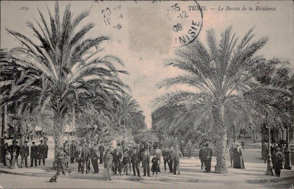 Tunis. - Le Bassin de la Résidence Vorderseite