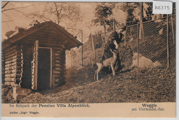 Weggis - Im Rehpark der Pension Villa Alpenblick