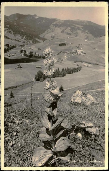 Motiv bei Oberiberg Vorderseite