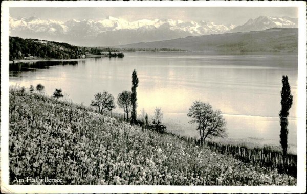 Am Hallwilersee Vorderseite