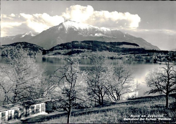 Risch am Zugersee Vorderseite
