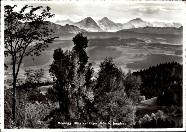 Berner Alpen Vorderseite