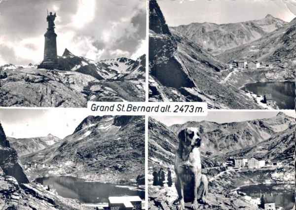 Grand St. Bernard Vorderseite