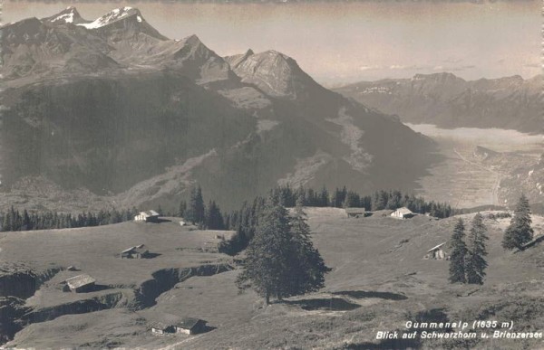 Gummenalp. Blick auf Schwarzhorn u. Brienzersee Vorderseite