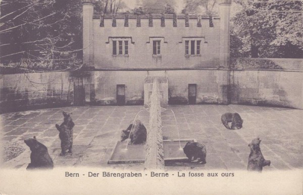 Bern - Der Bärengraben Vorderseite