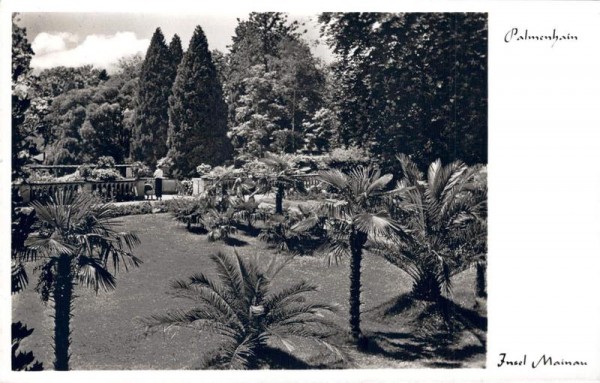 Mainau, Palmenhain Vorderseite