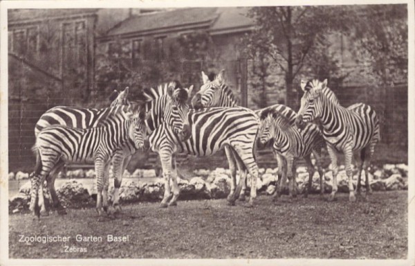 Zoologischer Garten Basel