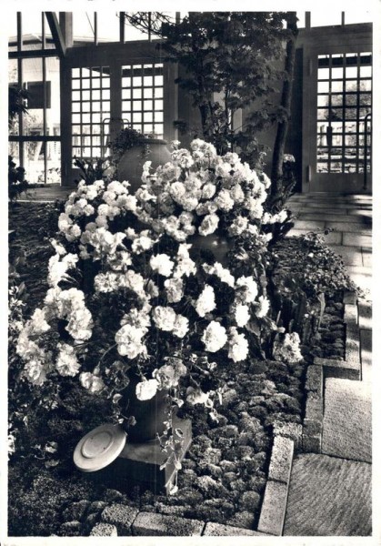 Schweizerische Landesausstellung 1939. Pavillon 41. Blumenhalle Vorderseite