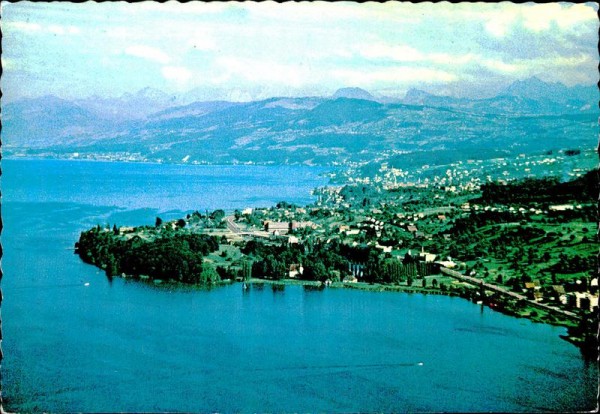 Der neue Landgasthof am Zürichsee, Halbinsel AU  -  Flugaufnahmen Vorderseite
