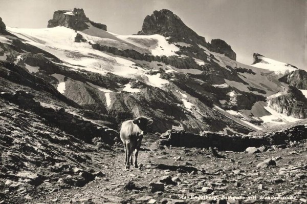 Engelberg. Jochpass mit Wendenstöcke Vorderseite