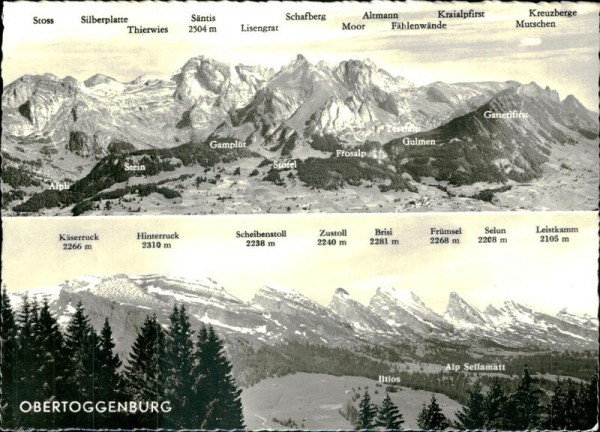 Obertoggenburg Vorderseite