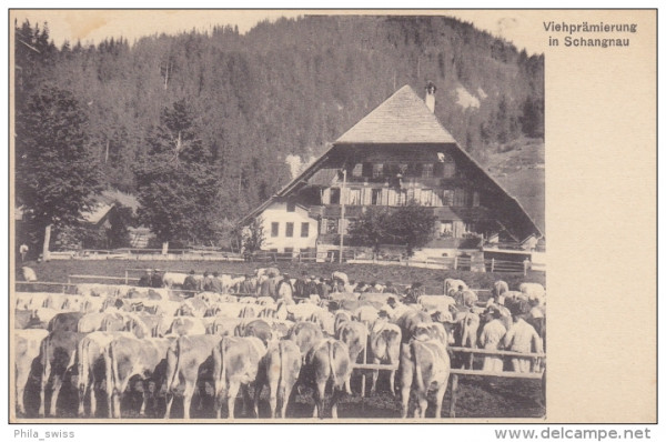 Schangnau - Viehprämierung in Schangnau