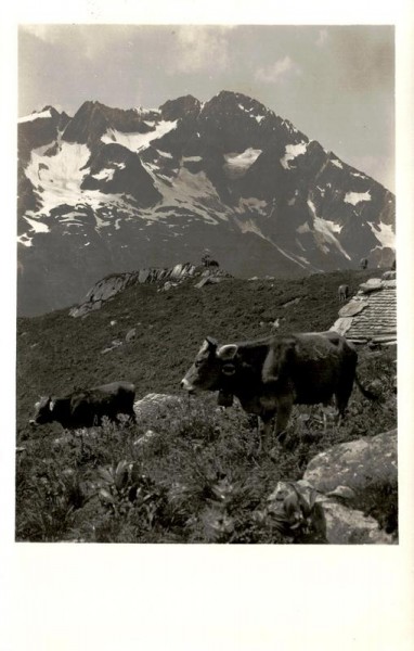 Auf der Weitenalp mit Bristenstock Vorderseite