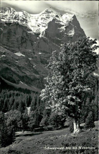 Schwarzwaldalp Vorderseite