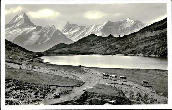 Bachalpsee Vorderseite