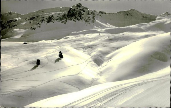 Abfahrtsgelände Weissfluhjoch - Parsenn Vorderseite