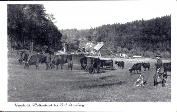 Harzhotel Molkenhaus bei Bad Harzburg Vorderseite