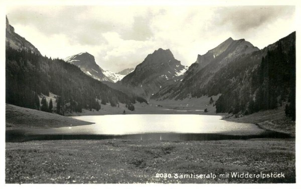 Sämtiser Alp mit Widderalpstöck Vorderseite