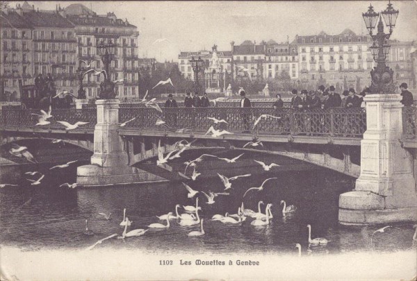 Les Mouettes à Genève
