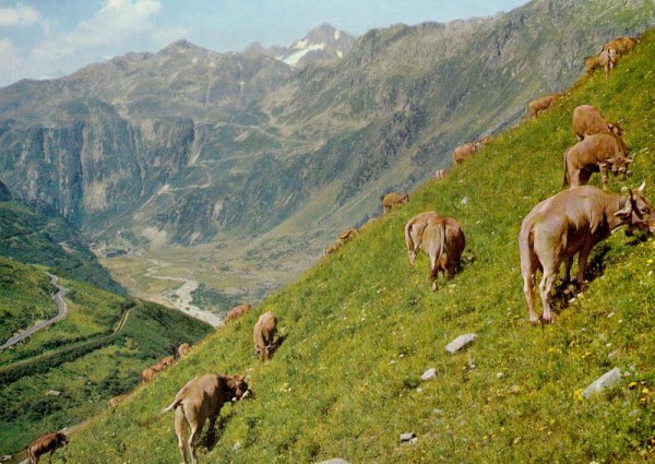 Furkapass Vorderseite