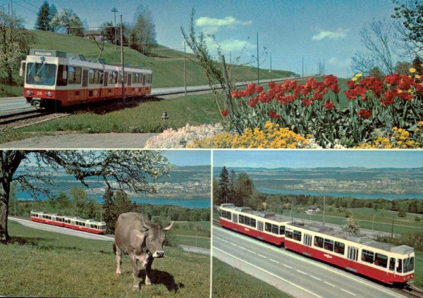 Forchbahn 7900 Vorderseite