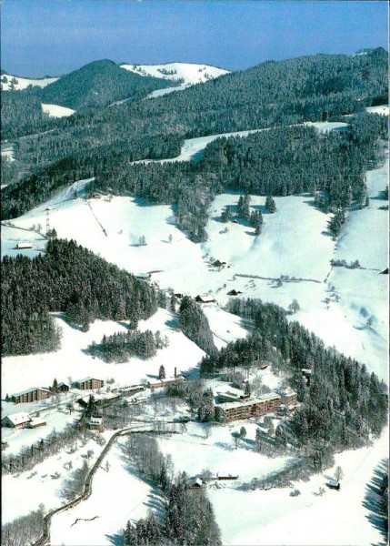 Faltigberg Wald, Flugaufnahme Vorderseite