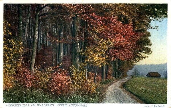 Herbstzauber am Waldrand Vorderseite