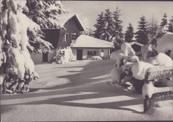 Haus, ev. in Wildhaus Vorderseite