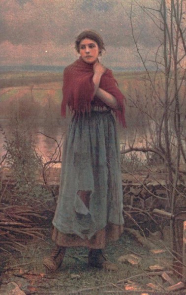 Ridgway Ritter  -  Kühl
 Vorderseite