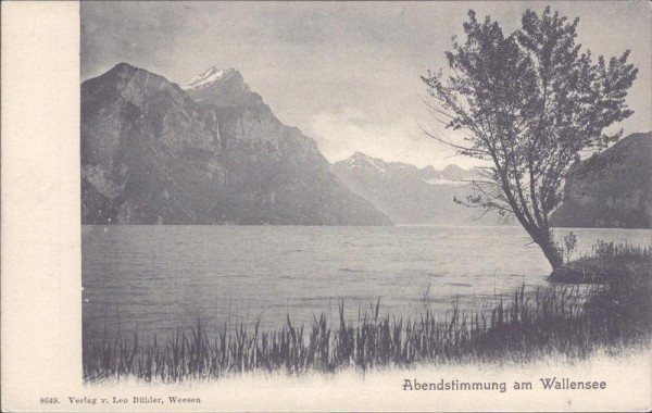 Abendstimmung am Wallensee, Walensee Vorderseite